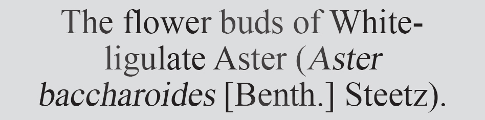 Text