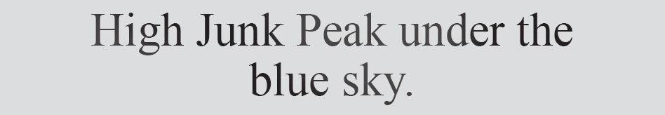 Text