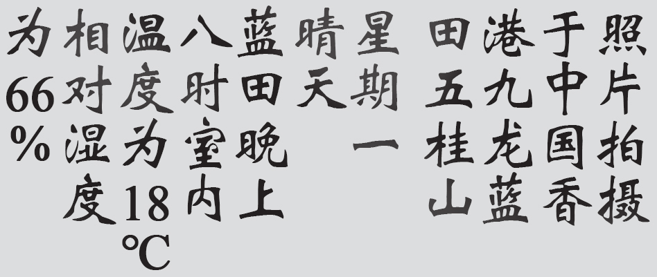 Text