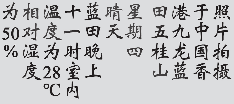 Text