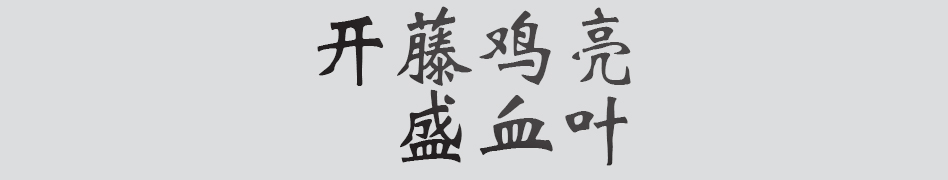 Text