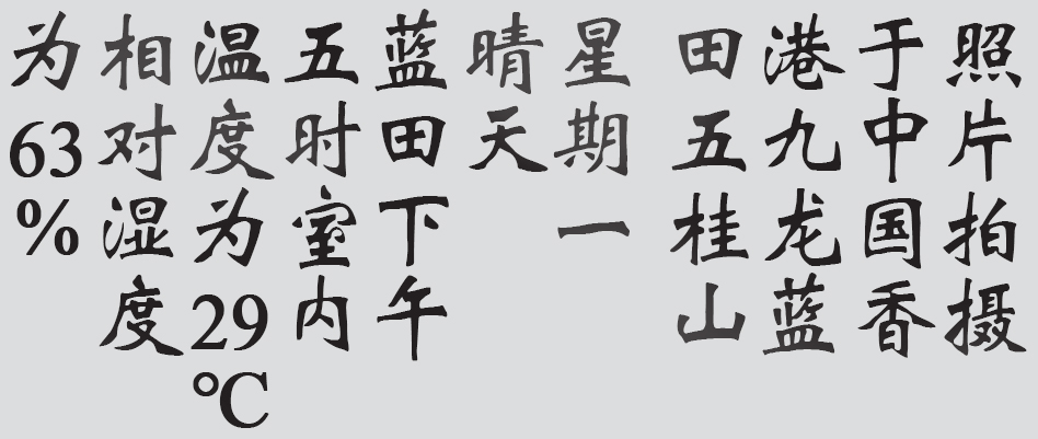 Text