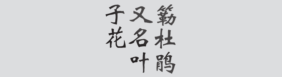 Text