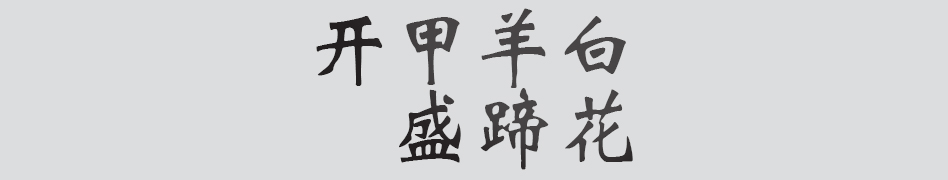 Text
