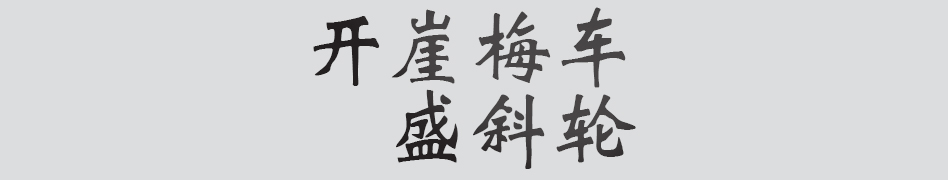Text