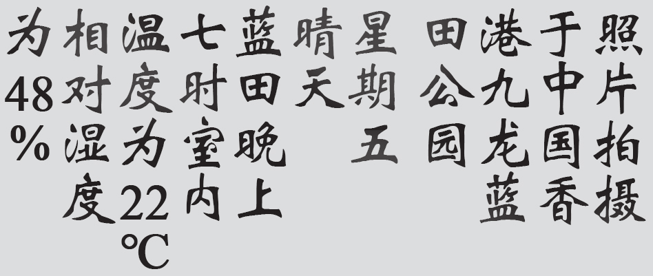 Text