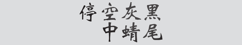 Text