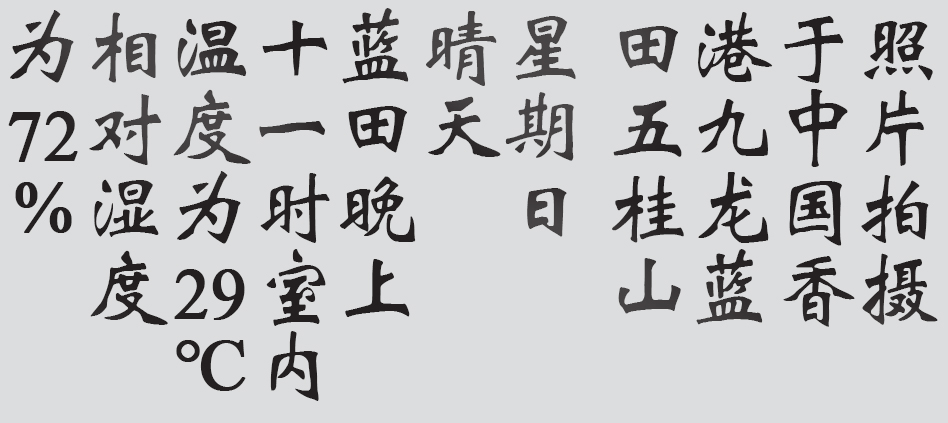 Text
