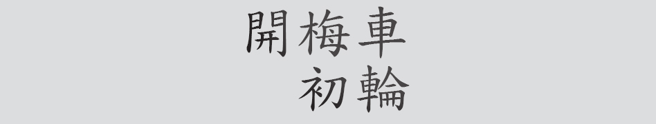 Text