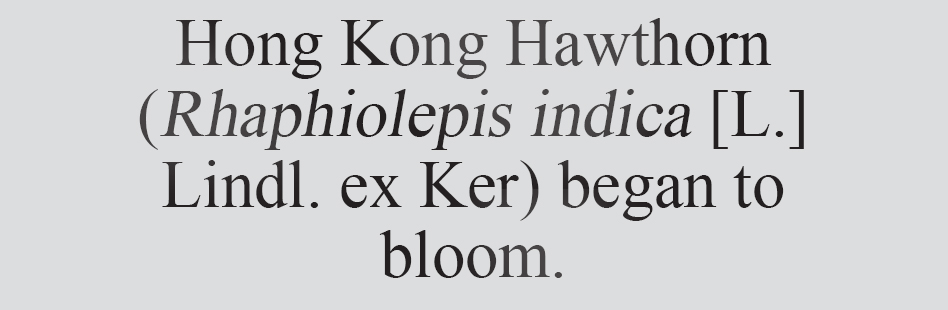 Text