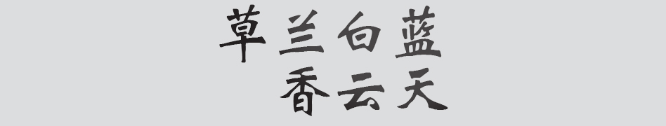 Text