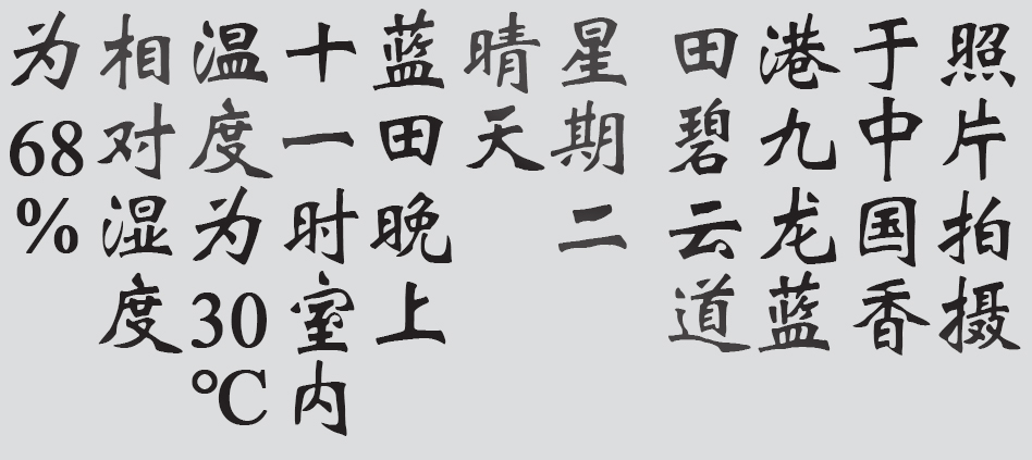 Text
