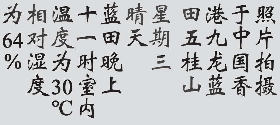 Text