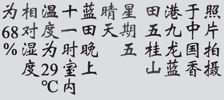 Text
