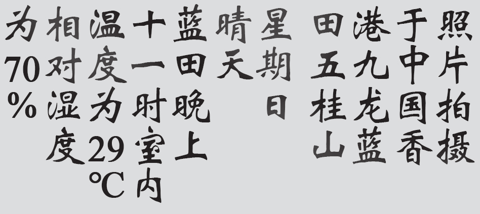 Text