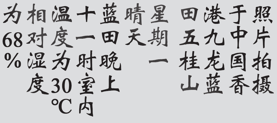 Text
