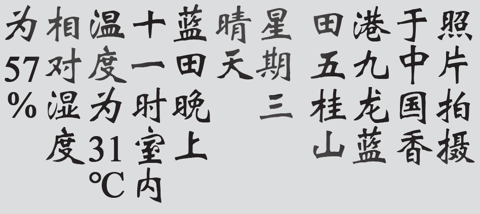 Text