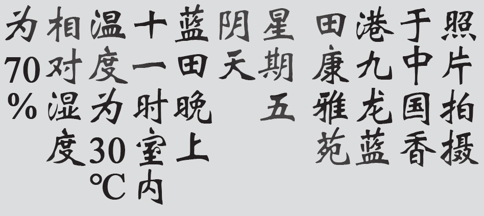 Text