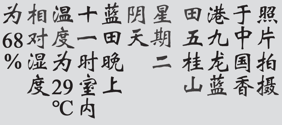 Text