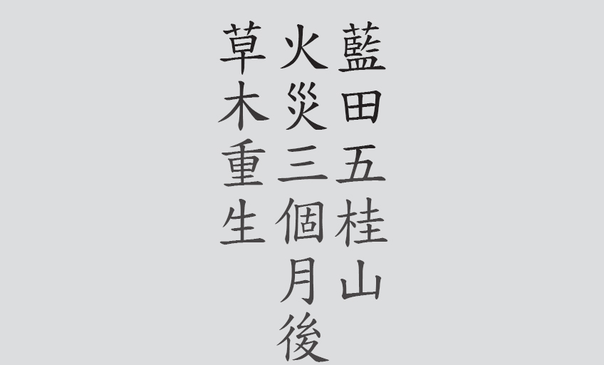 Text
