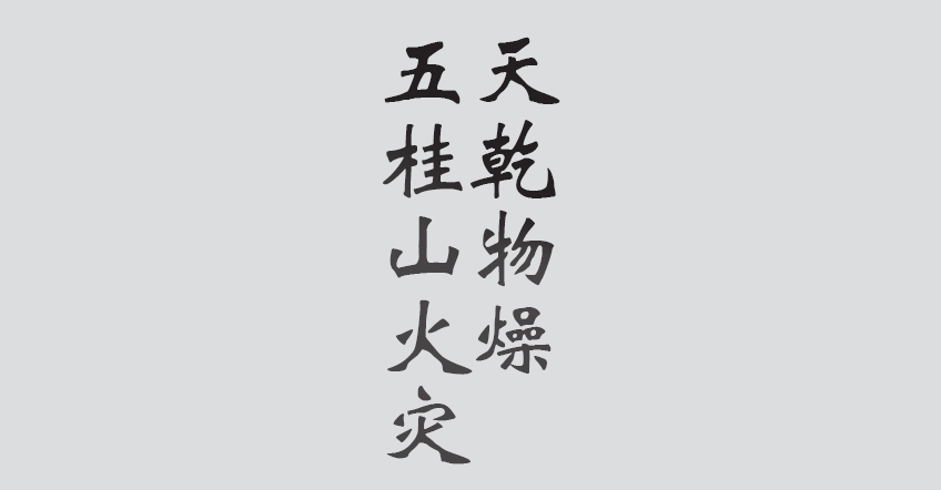 Text