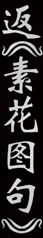 Text