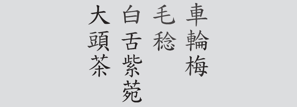 Text