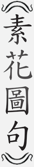 Text